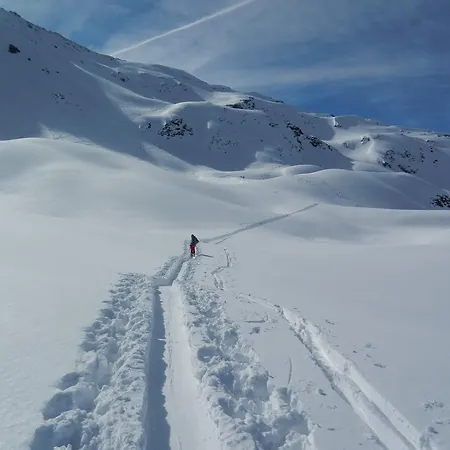 Apartment Haus Scherl *